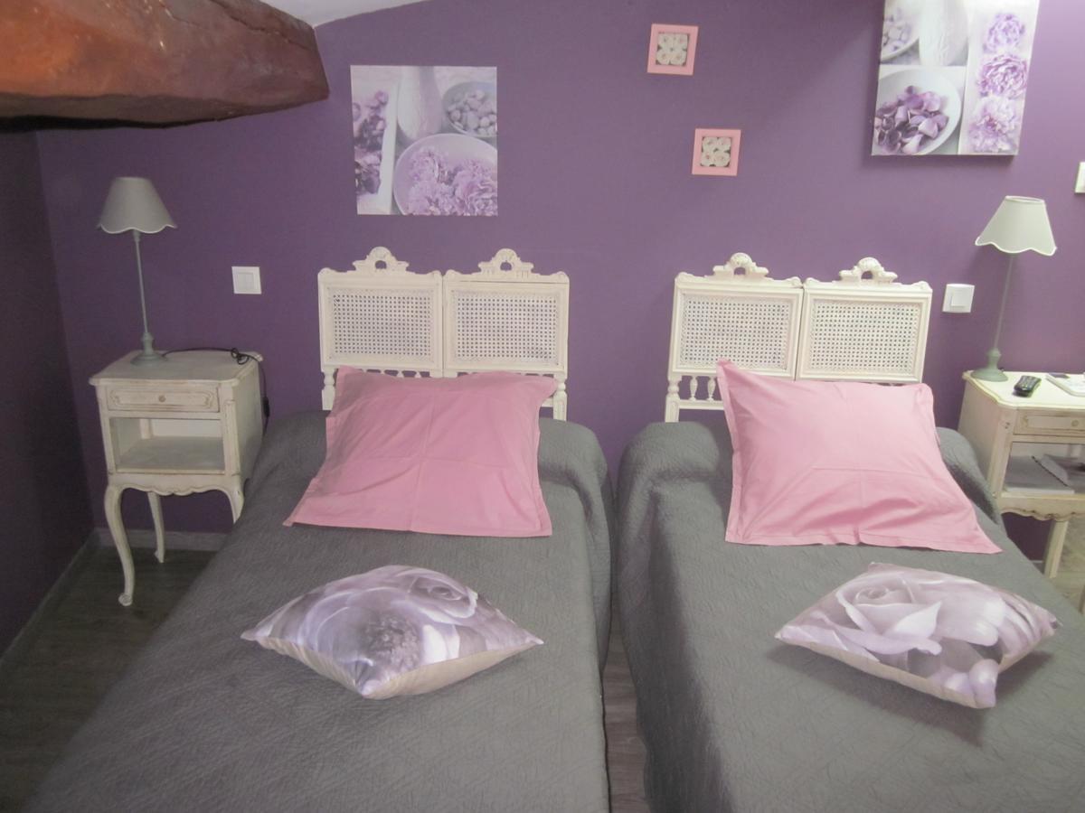 Appartement Chez Martine Cote Canal 卡尔卡松 外观 照片
